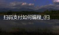 扫码支付如何编程_(扫码支付如何编程视频)