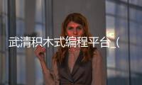 武清积木式编程平台_(积木编程是怎么实现的)