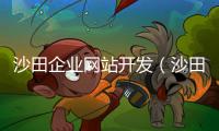 沙田企业网站开发（沙田企业名录）