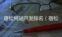 宿松网站开发排名（宿松论坛招聘信息最近）